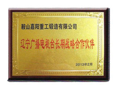 遼寧廣播電視臺長(cháng)期戰略合作伙伴